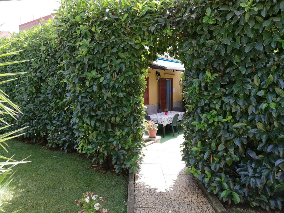 Depandance Con Piscina In Uso In Esclusivo In B&B SantʼAntonio Abate Zewnętrze zdjęcie